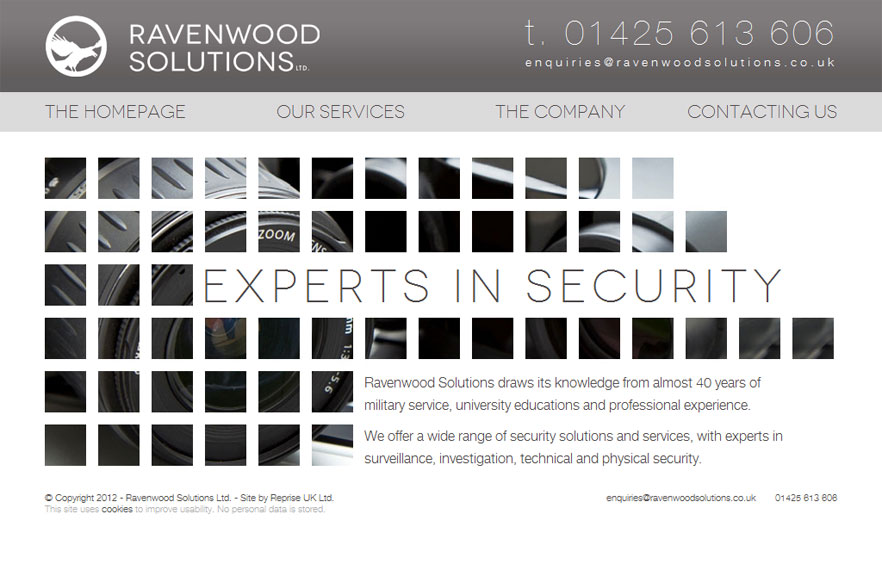 Ravenwood Solutions Graphic 1