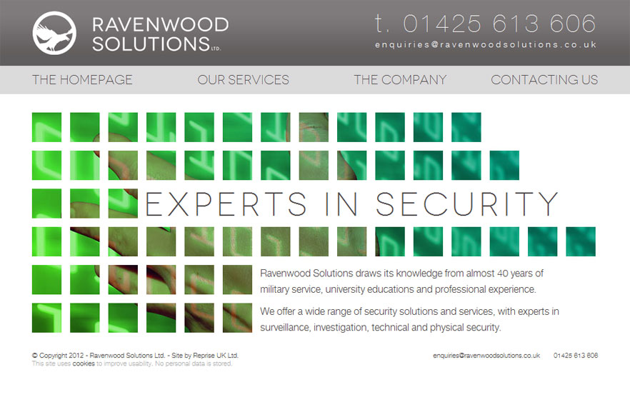 Ravenwood Solutions Graphic 1